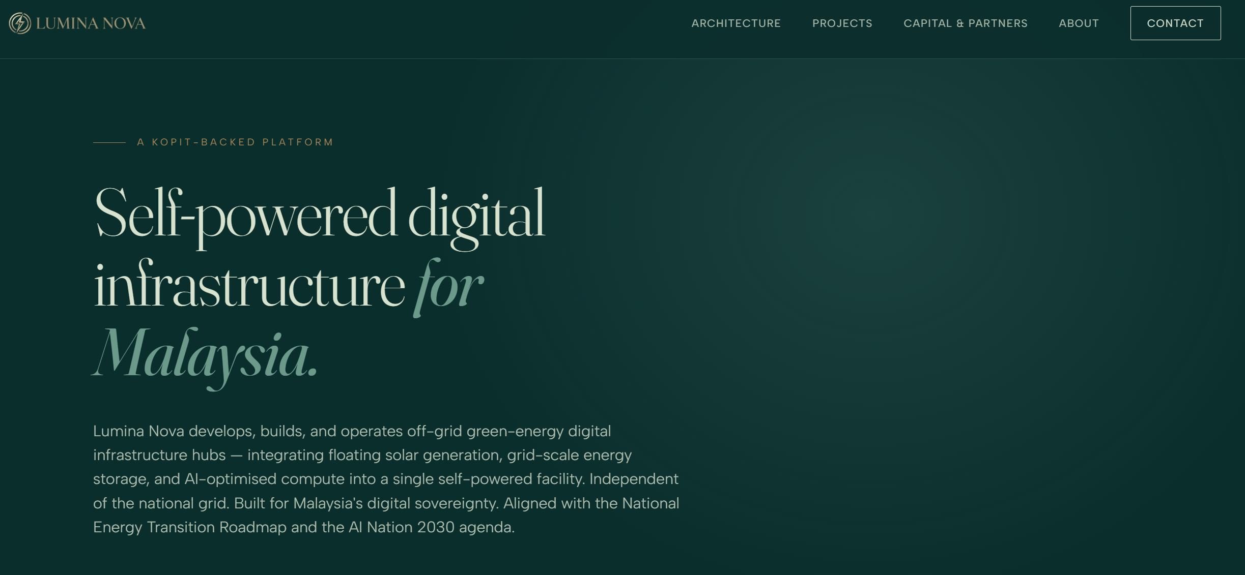 Lumina Energy Website Platform